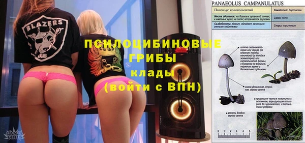 кокс Алзамай