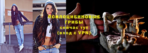 винт Алексеевка