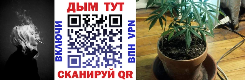 Бошки марихуана Ganja  omg ссылки  Козловка  купить  